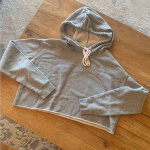 Wild Fable grey cropped sweatshirt pullover hoodie jumper M target MOM1
